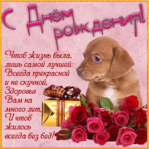 Картинка для женщины с собачкой и цветами