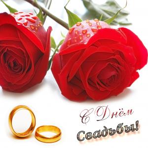 Картинка с красивыми розами на свадьбу