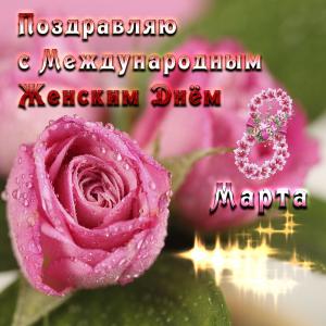 Картинка с красивыми розовыми розами