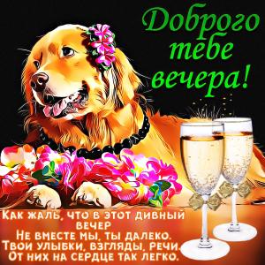 Милая картинка с собачкой и цветами