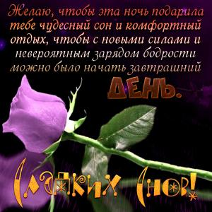 Картинка с розой и красивым пожеланием на ночь