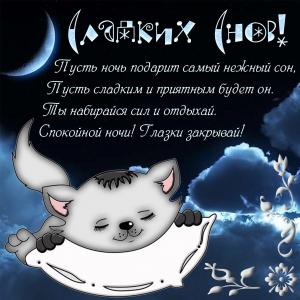 Открытка с котиком на подушке под луной