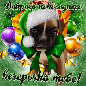 Картинка с собачкой и пожеланием доброго вечера