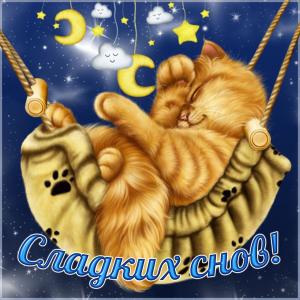 Открытка с котиком желающим сладких снов