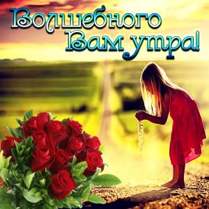 Картинка с пожеланием волшебного утра и розами