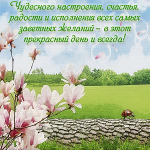 Красивая картинка для чудесного настроения