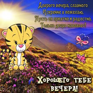 Картинка хорошего тебе вечера с тигрёнком
