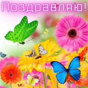 Открытка на День рождения с красивыми цветами