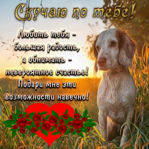 Открытка с грустной собачкой на фоне заката