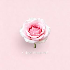 Открытка с днем рождения женщине, розы, минималистичный стиль, минимум текста