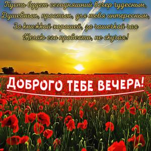 Картинка с закатом над красивым полем