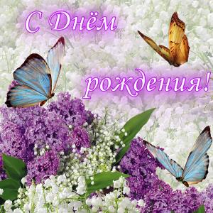 Открытка на День рождения на красивом фоне