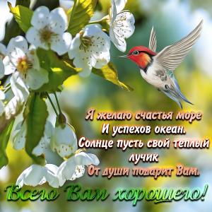 Открытка всего Вам хорошего с птичкой