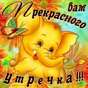 Слоник желает прекрасного утречка на открытке