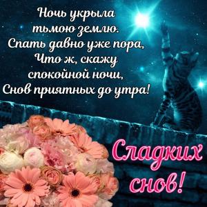 Картинка с пожеланием сладких снов и котиком