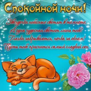 Картинка с котиком, пожеланием и розочкой