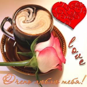 Картинка очень тебя люблю с розой