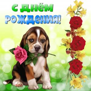 Открытка для женщины с собачкой