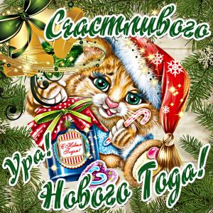 Картинка на Новый год с котиком в шапочке