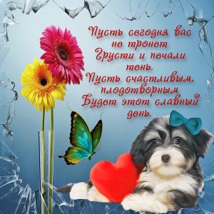 Красивая открытка с собачкой и цветами