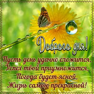 Пожелание доброго дня на милой картинке