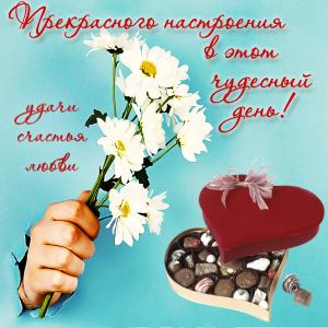 Открытка с букетиком ромашек и конфетами