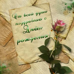 Открытка с розой мужчине на День рождения