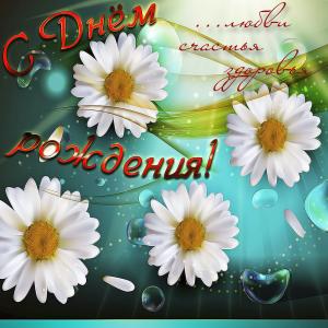 Картинка с ромашками женщине на День рождения