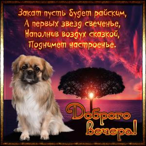 Открытка с пожеланием доброго вечера в рамке