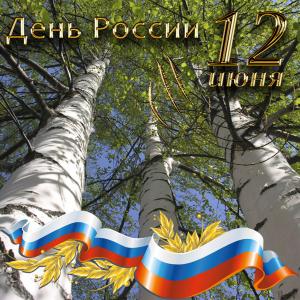 Картинка с берёзами на День России