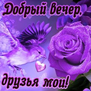 Открытка добрый вечер друзья мои с розой