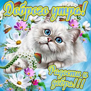 Открытка с кошечкой желающей доброго утра