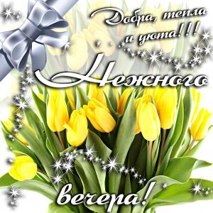 Картинка с тюльпанами для нежного вечера