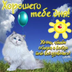 Картинка хорошего тебе дня с милой кошечкой