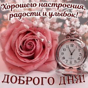 Картинка с милым пожеланием доброго дня