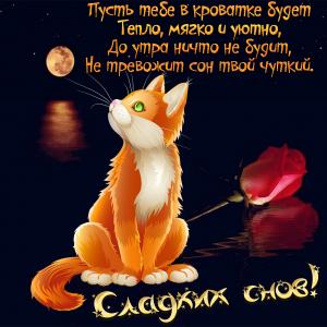 Милая картинка с кошечкой и пожеланием
