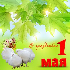 Открытка с голубями на красивом фоне