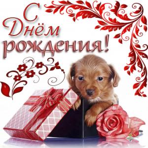 Милая открытка с собачкой для женщины