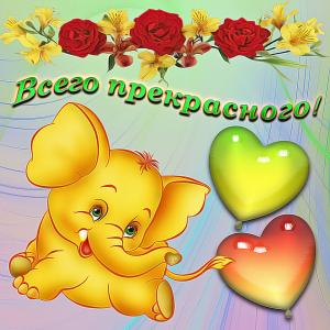 Открытка со слонёнком и цветочками