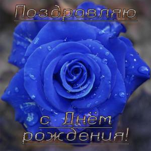 Сказочная роза на картинке для девушки