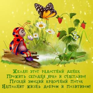 Яркая картинка с забавными насекомыми