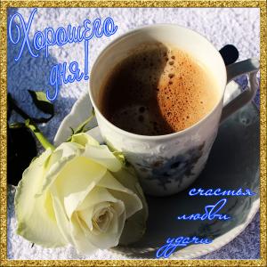 Картинка с белой розой и чашкой кофе