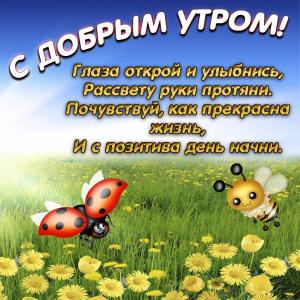 Картинка с добрым утром с полем на рассвете