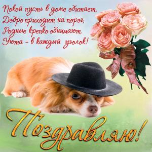 Картинка с собачкой в шляпке на День рождения