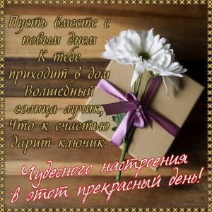 Картинка с цветком и подарком в рамке