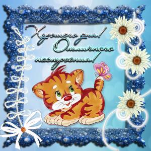 Открытка с котиком в красивой рамочке
