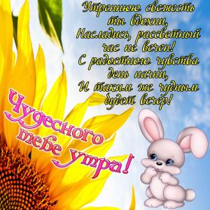 Картинка чудесного тебе утра с зайчиком