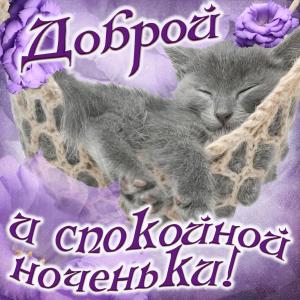Открытка доброй ноченьки с милым котиком