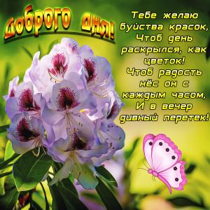 Милая картинка с пожеланием доброго дня