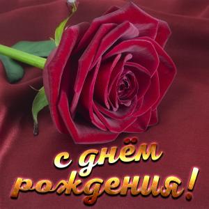 Открытка для женщины с красной розой